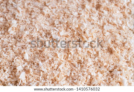 Dry wood shavings background. Wood dust texture. Sawdust pattern closeup. Sawdust floor texture. Top view. Sawdust close up . Wood industry concept. Eco energy design. Place for text.