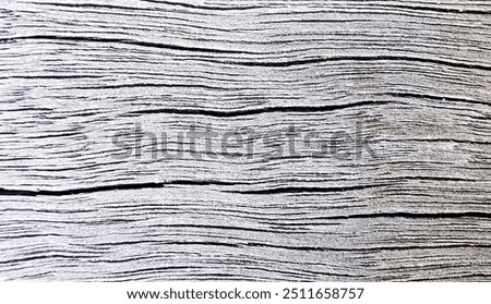 Dry wood structure. Wood pattern and structure. Dry wood up close. Textured backgound, suitable for product presentation, background, display and mock-up.