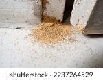 Dry wood is usually called dry wood frass derived from termite droppings, Cryptotermes spp. Granul oval pellets on door frames