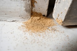 Dry Wood Is Usually Called Dry Wood Frass Derived From Termite Droppings, Cryptotermes Spp. Granul Oval Pellets On Door Frames