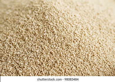 Dry Yeast