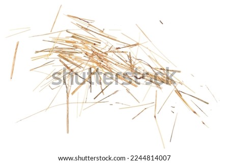Dry yellow grass pile isolated on white background, top view