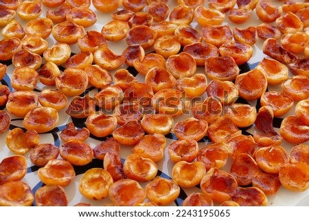 drying fruit, drying apricots, drying apricots in the sun,