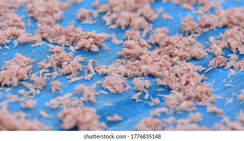 Drying Of Krill Or Euphausiacea For Make Thai Food Style