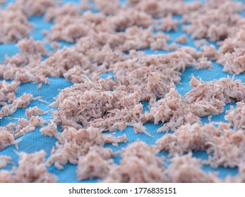 Drying Of Krill Or Euphausiacea For Make Thai Food Style