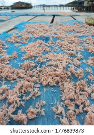 Drying Of Krill Or Euphausiacea For Make Thai Food Style