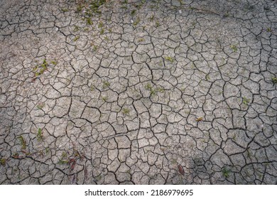 Drying Up Lake In Bavaria Germany From Extreme Weather And Summer Heatwave, Climate Change And Drought