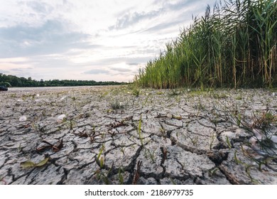 Drying Up Lake In Bavaria Germany From Extreme Weather And Summer Heatwave, Climate Change And Drought