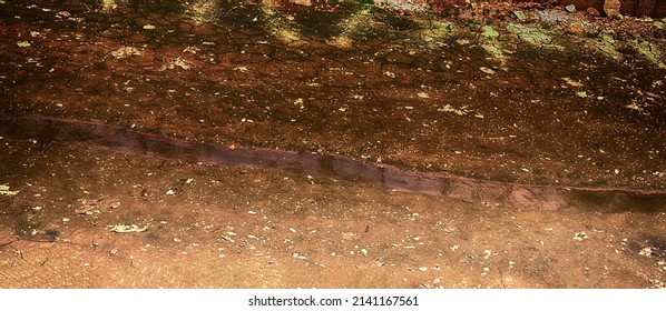 Drying Up The Lake And Ephemeral Stream, Oozy Mud. Dry Spell