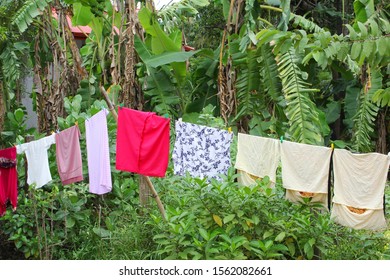 Drying laundry on washing line in jungle forest, Sri Lanka, Asia - Shutterstock ID 1562082661