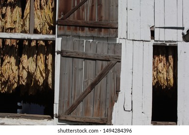 Drying Leaves In An Amish Village