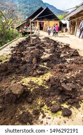 Drying Of Livestock Manure Under The Sun For Agriculture Organic Fertilizer 