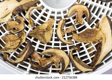 drying mushrooms