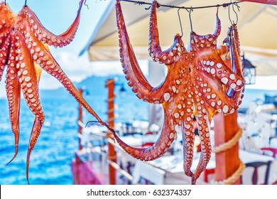 Drying octopus arms in restaurant on Santorini island, Oia village, traditional greek seafood prepared on a grill, Greece.