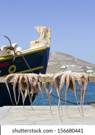 drying octopus and fishing boat in paros greece