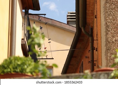 Drying rack hanging from a window between bright buildings - Shutterstock ID 1855362433