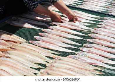 Tonguefish Images, Stock Photos & Vectors | Shutterstock