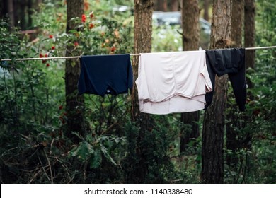 Сlothes drying in the woods
