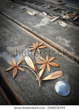 dryleaf Autumn leaf flower pattern background
