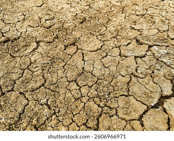 Dryness of problems from climate changes.