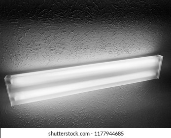 Dual Flourescent Ceiling Light