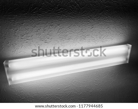 Dual Flourescent Ceiling Light