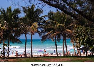 Dubai Beach Stock Photo 2219840 | Shutterstock