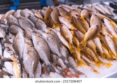 Dubai, Deira waterfront fish market,  April 2023: Close-up lobster on the fish market. Retailers offer fresh fish and crustaceans. Fish on ice. Cod, Hamour, sea bream, Shari, kingfish, prawn. - Powered by Shutterstock