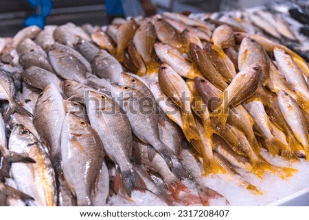 Dubai, Deira waterfront fish market,  April 2023: Close-up lobster on the fish market. Retailers offer fresh fish and crustaceans. Fish on ice. Cod, Hamour, sea bream, Shari, kingfish, prawn.