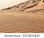 Dubai Desert Safari, Dune bashing, Quad Bike, Dune Buggy