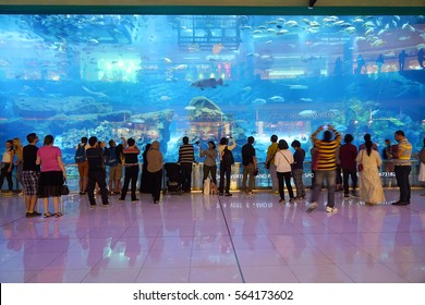 DUBAI, JANUARY 09, 2017 - The Aquarium of Dubai Mall, famous landmark of the United Arab Emirates
