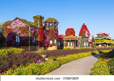 Dubai miracle garden with over 45 million flowers in a sunny day