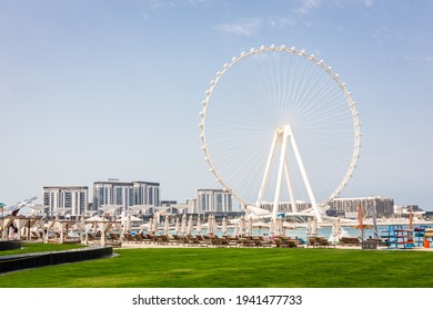 Dubai, UAE, 22.02.2021. Ain Dubai (Dubai Eye) Tallest Ferris Wheel In The World On Bluewaters Island With JBR Beach Club In The Foreground.  