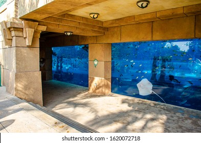 DUBAI, UAE, FEBRUARY 2014:  Interior Of The Aquarium In Leap Of Faith Waterslide In Dubai,  Aquaventure Waterpark, The Palm -Jumeirah