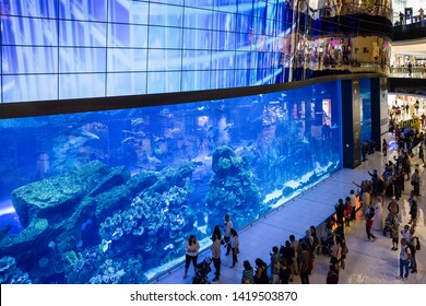 Dubai, UAE - June 9, 2019: Aquarium in  Dubai Mall trade center. 