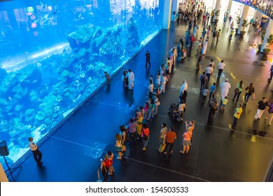 DUBAI, UAE - NOVEMBER 14: Aquarium in Dubai Mall - world's largest shopping mall , Downtown Burj Dubai November 14, 2012 in Dubai, United Arab Emirates