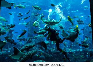 Atlantis Dubai Underwater Rooms Images Stock Photos