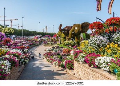 Flower Arabic Stock Photos Images Photography Shutterstock