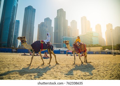 Dubai, United Arab Emirates - 12 November, 2017: Camel Ride On Jumeirah Beach With Skyscrapers In The Background, Dubai Marina, United Arab Emirates