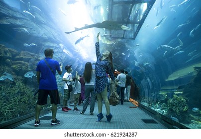 Aquarium In Dubai Mall Images Stock Photos Vectors Shutterstock