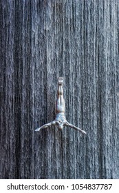 Dubai, United Arab Emirates - Nov.30, 2016: Waterfall With A Sculpture Of A Diver In Dubai Mall. The Fountain Dedicated To The Extraction Of Pearls