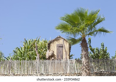 Dubai Wild Wadi Water Park With Dhutch And Palm Tree