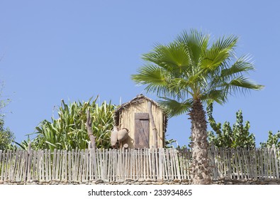 Dubai Wild Wadi Water Park With Dhutch And Palm Tree