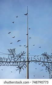 DUBLIN, IRELAND -2 NOV 2016- The Landmark Spire Of Dublin (Monument Of Light), A Stainless Steel Monument Located On The Site Of The Former Nelson's Pillar On O'Connell Street In Dublin, Ireland.