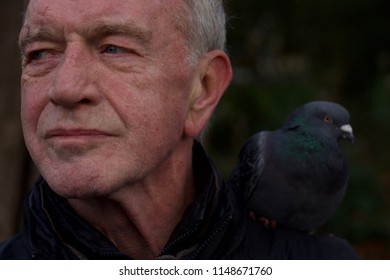 Dublin, Dublin / Ireland - December 30 2017: Photos Of An Unnamed Man Working To Raise Money For The Simon Community In Dublin By Allowing Tourists To Feed The Pigeons In St Stephens Green In Dublin