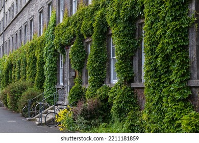 Dublin, Ireland - May 18th 2022: Dorm Building At Trinity College Dublin Overgrown With Ivy