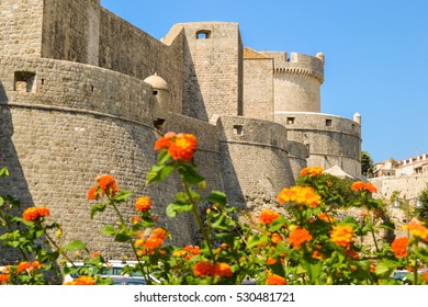 The Dubrovnik Castle And Flowers