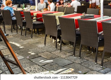 Dubrovnik, Croatia - October 1 2017: A cat chases a bird underneath the tables of a sidewalk cafe in the walled city of Dubrovnik, Croatia