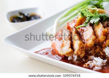 Duck and Crispy Pork over Rice with Sweet Gravy Sauce