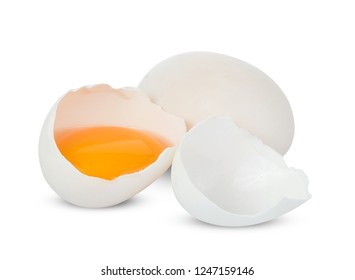 Duck Egg Isolated On White Background.